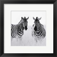 Rendezvous II Fine Art Print