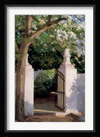 Acacia Fine Art Print