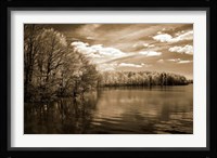 Nature's Glory Fine Art Print