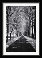 Follow Me Fine Art Print