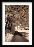The Path Ahead Fine Art Print