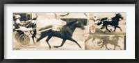 Sulky Race Fine Art Print