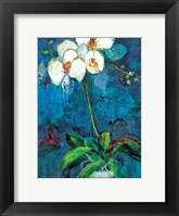 Phalaenopsis I Fine Art Print
