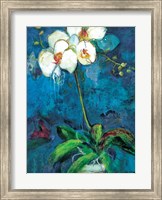Phalaenopsis I Fine Art Print