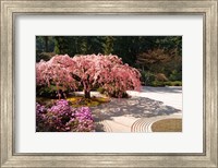 A Cherry Tree Blossoms Over A Rock Garden In The Japanese Gardens In Portland's Washington Park, Oregon Fine Art Print