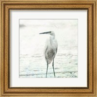 Beach Heron Fine Art Print