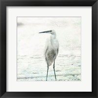 Beach Heron Fine Art Print