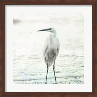 Beach Heron Fine Art Print