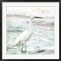 Coastal Heron Fine Art Print