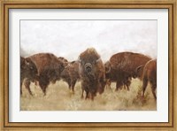 Buffalo Fine Art Print