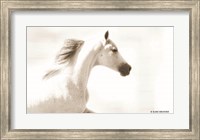 Dash III Fine Art Print