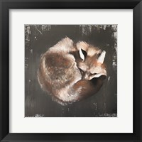 Sleeping Fox No. 11 Fine Art Print