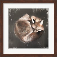 Sleeping Fox No. 11 Fine Art Print