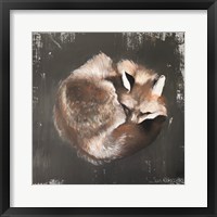 Sleeping Fox No. 11 Fine Art Print