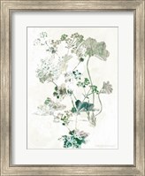 Geranium Botanical Fine Art Print