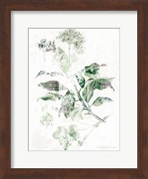 Verbena Botanical Fine Art Print