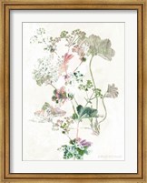 Boho Geranium Botanical Fine Art Print