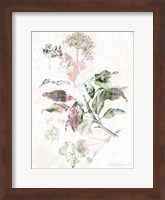 Boho Verbena Botanical Fine Art Print