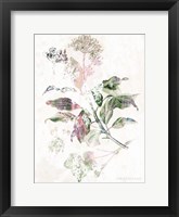 Boho Verbena Botanical Fine Art Print