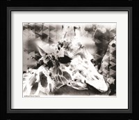 Modern Black & White Giraffe Framed Print
