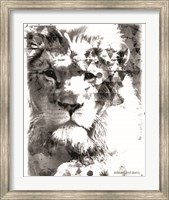 Modern Black & White Lion Fine Art Print