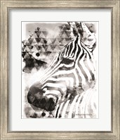 Modern Black & White Zebra Fine Art Print