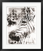 Modern Black & White Zebra Fine Art Print