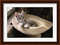 The Hat Kitten Fine Art Print