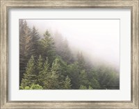 Alaska Green Trees I Fine Art Print