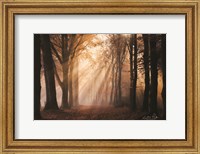 Look for the Light in All Things Fine Art Print