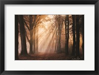 Look for the Light in All Things Fine Art Print
