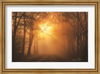 Misty Sunrise Fine Art Print
