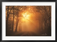 Misty Sunrise Fine Art Print