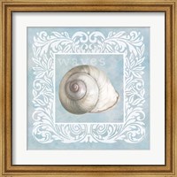 Sandy Shells Blue on Blue Snail Fine Art Print