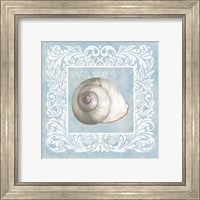 Sandy Shells Blue on Blue Snail Fine Art Print