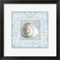 Sandy Shells Blue on Blue Snail Framed Print