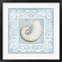 Sandy Shells Blue on Blue Nautilus Fine Art Print