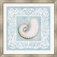 Sandy Shells Blue on Blue Nautilus Fine Art Print