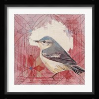 Cerulean Warbler Fine Art Print