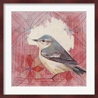 Cerulean Warbler Fine Art Print