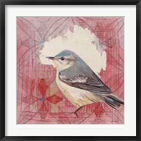 Cerulean Warbler Fine Art Print