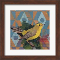 Wilsons Warbler Fine Art Print