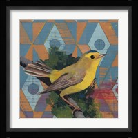 Wilsons Warbler Fine Art Print