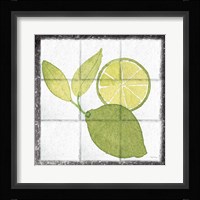 Citrus Tile VII Black Border Fine Art Print
