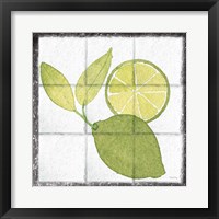 Citrus Tile VII Black Border Framed Print