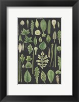 Assortment of Leaves II Charcoal Crop Fine Art Print