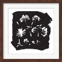 Nature by the Lake Flowers IV Black Fine Art Print