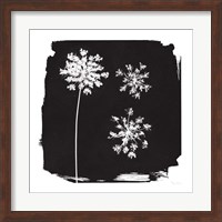 Nature by the Lake Flowers III Black Fine Art Print