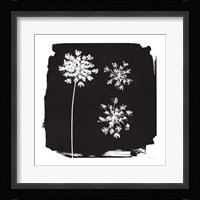 Nature by the Lake Flowers III Black Fine Art Print