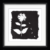 Nature by the Lake Flowers II Black Fine Art Print